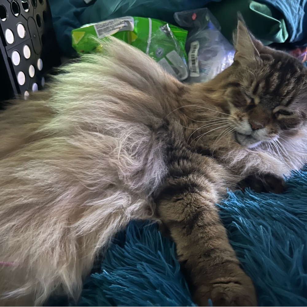 Lorelei Unlisted! - Picture 8 of 13